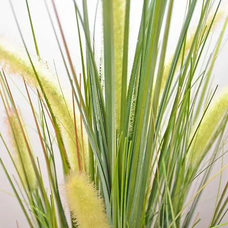 Rosa - Apt. 05 Villa