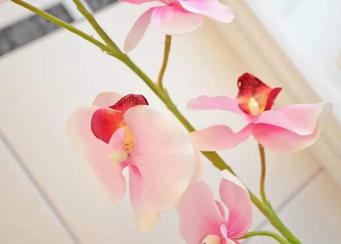 Rosa - Apt. 05 Villa