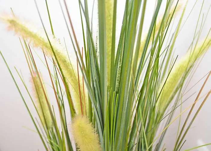 Rosa - Apt. 05 Villa